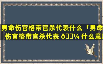 男命伤官格带官杀代表什么「男命伤官格带官杀代表 🌼 什么意思」